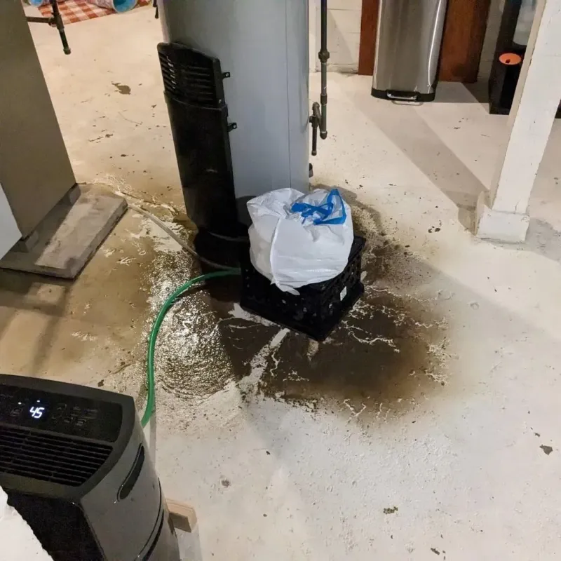 Sewage Backup Cleanup Service in Irwin County, GA